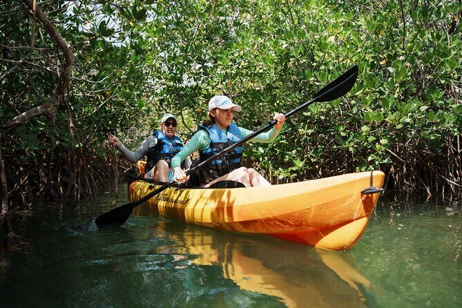 Key West Hidden Sanctuary Mangrove Kayak Tour With Drinks - A quick Key West view from the water (and why it’s useful)