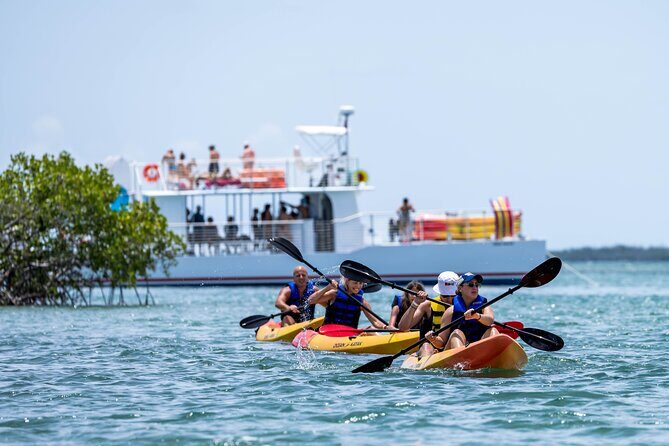 Key West Hidden Sanctuary Mangrove Kayak Tour With Drinks - Jewfish Basin sandbar time with drinks: the payoff you remember