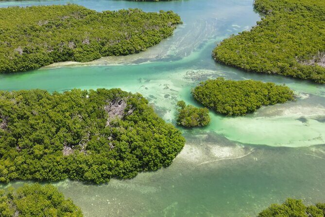 Key West Hidden Sanctuary Mangrove Kayak Tour With Drinks - Price and value: does $149.95 make sense?