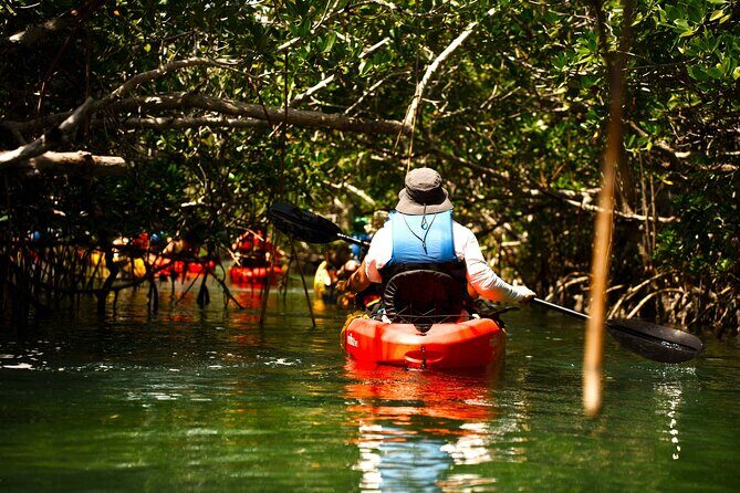 Key West Hidden Sanctuary Mangrove Kayak Tour With Drinks - Florida Keys National Marine Sanctuary: where wildlife is the plan
