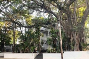 Key West History Audio Guided Walking Tour - The Main Walk: More Than a Mile of Key West Sights and Clues