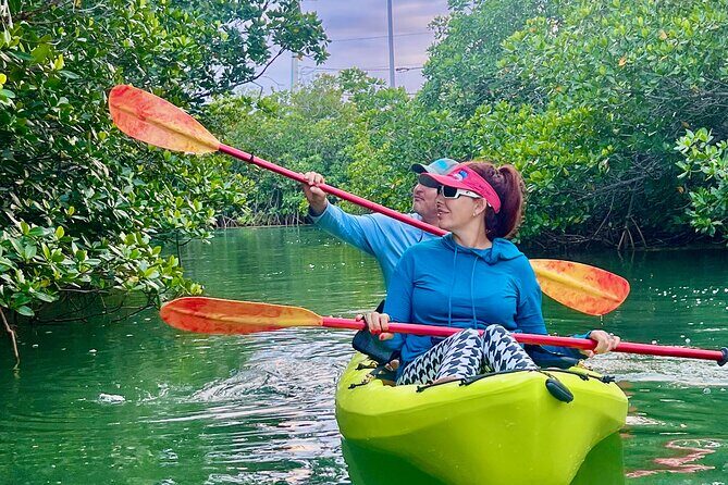 Key West Kayak Eco Tour | An Eco-Friendly Adventure Awaits! - Why Kayaking the Mangroves Beats a Typical Tour Stop