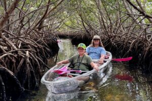 Key West Kayak Eco Tour | An Eco-Friendly Adventure Awaits! - Price and Value: Is $60 a Smart Deal Here?