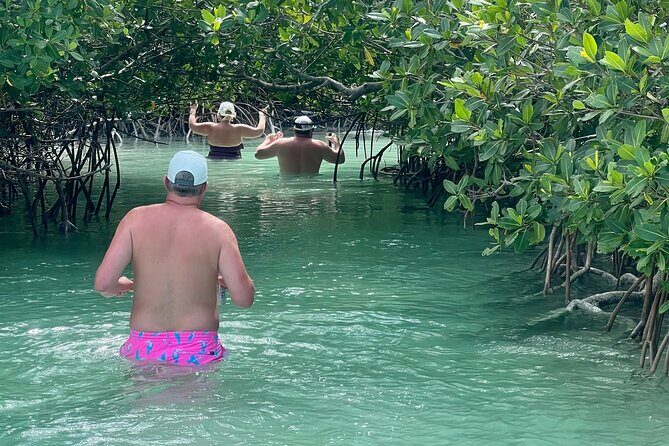 Key West Kayak Eco Tour | An Eco-Friendly Adventure Awaits! - The 2-Hour Paddle: What Happens Once You’re on the Water