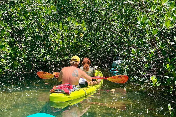 Key West Kayak Eco Tour | An Eco-Friendly Adventure Awaits! - Wildlife You Might Actually Spot (And How to Keep It Respectful)