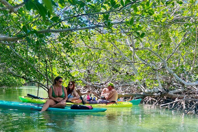 Key West Kayak Eco Tour | An Eco-Friendly Adventure Awaits! - Group Size and Comfort: Small Enough to Feel Personal
