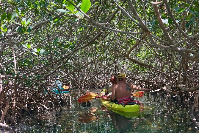 Key West Kayak Eco Tour | An Eco-Friendly Adventure Awaits! - What’s Included (And What You’ll Need to Plan For)