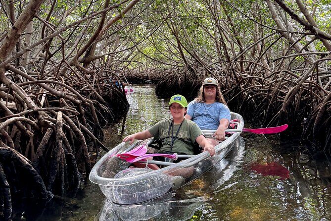 Key West Kayak Eco Tour | An Eco-Friendly Adventure Awaits! - Price and Value: Is $60 a Smart Deal Here?