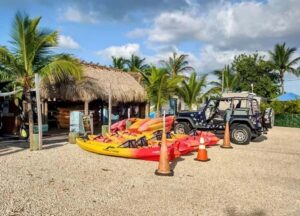 Key West: Kayak or Paddleboard Rental - Choose your ride: kayak vs tandem kayak vs stand-up paddleboard