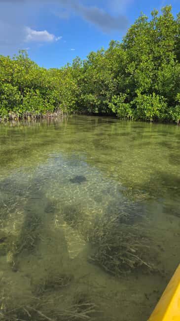 Key West: Kayak or Paddleboard Rental - What to wear and pack: staying comfortable in the wet, sunny reality