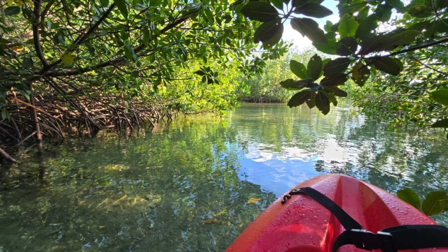 Key West: Kayak or Paddleboard Rental - Price and value: does $37 for two hours make sense?