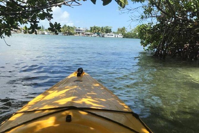 Key West Kayak Rental - Navigation Reality Check: How to Avoid Getting Lost