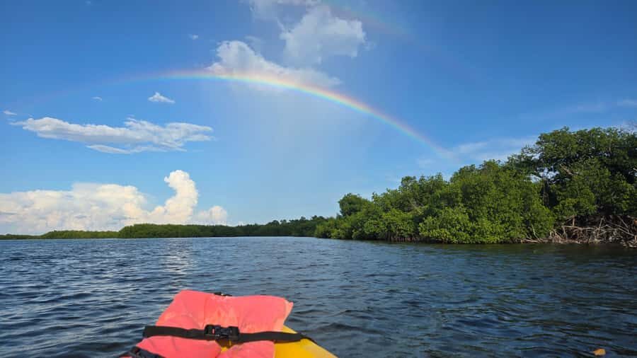 Key West: Mangrove Kayak or SUP Eco Tour - Key West Mangrove Eco Tour: Quick takeaways before you book