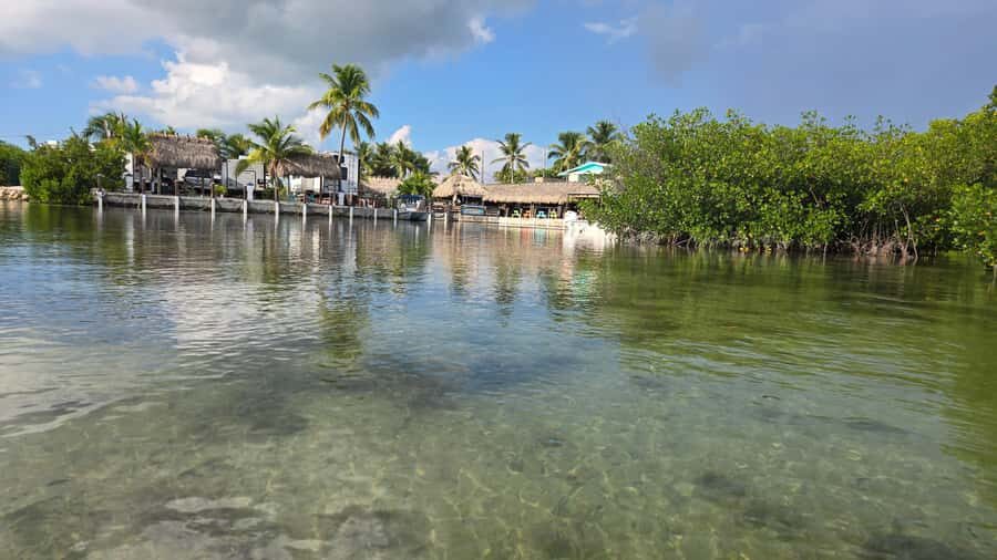 Key West: Mangrove Kayak or SUP Eco Tour - Entering the mangrove water: what the first stretch feels like