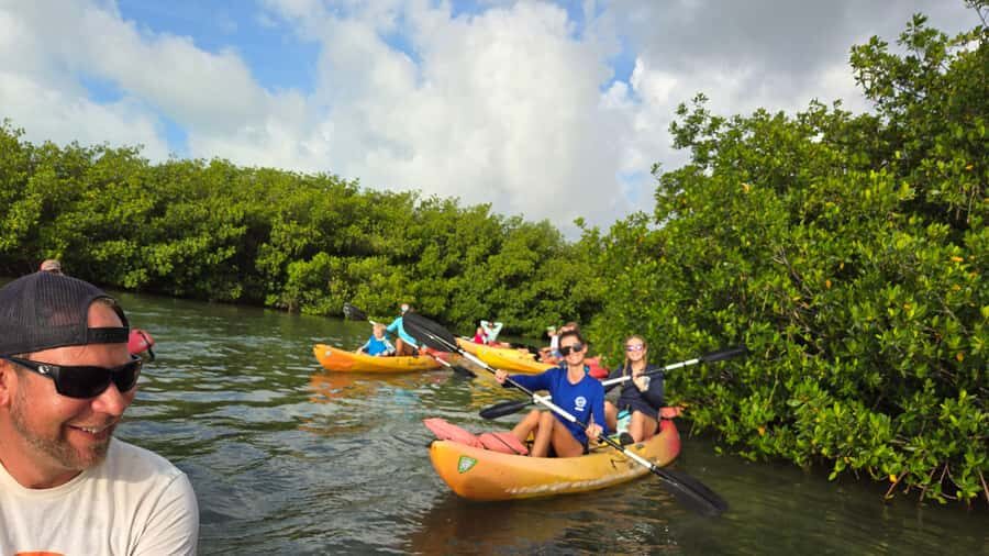 Key West: Mangrove Kayak or SUP Eco Tour - Getting up close to marine life (without turning it into a circus)