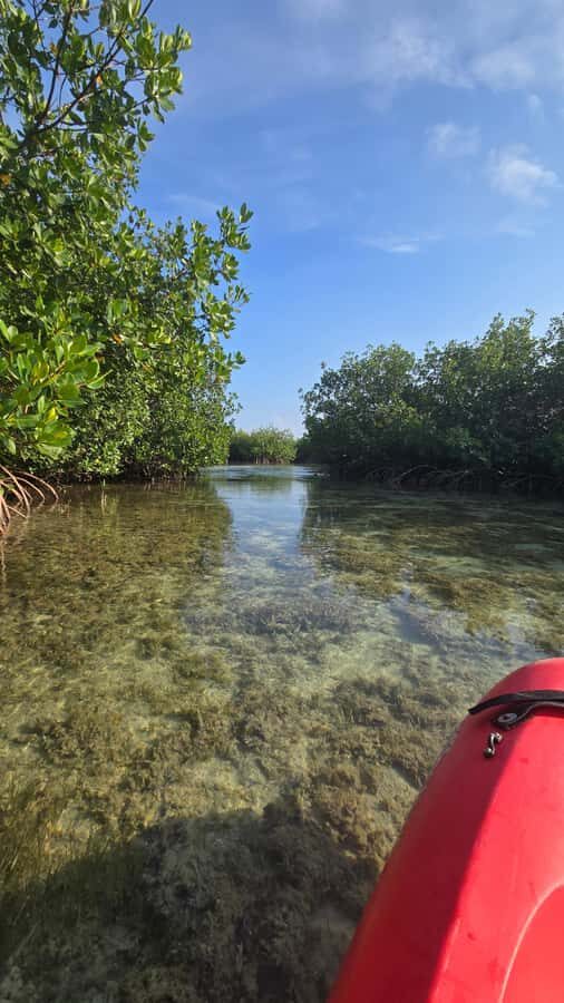 Key West: Mangrove Kayak or SUP Eco Tour - Pickup and getting to Geiger Key: how the logistics actually feel