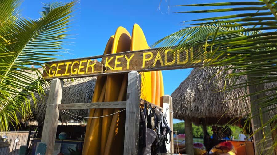 Key West: Mangrove Kayak or SUP Eco Tour - Kayak vs SUP: choosing the right paddling style for you