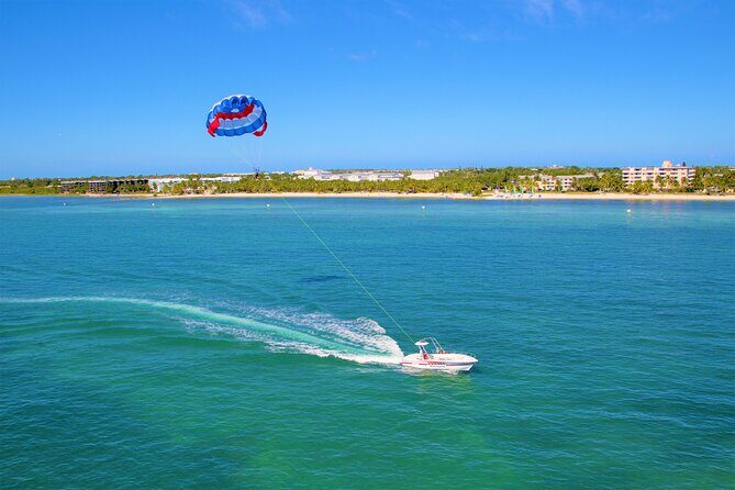 Key West Parasailing: Ideal For Cruise Ship & Downtown Guests - Spotting Marine Life From Above (And Why It’s Worth the Wait)