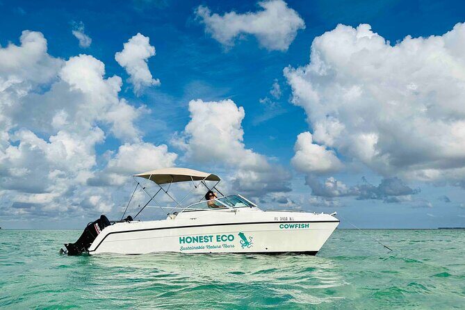 Key West Private Charter: Sandbar and Snorkeling - Snacks and comfort: the mid-trip lift you’ll feel