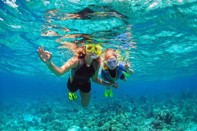 Key West Reef Morning Snorkeling with Breakfast and Mimosas - Getting the Gear: What’s Included (and When to Bring Your Own)