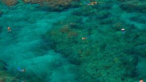 Key West: Reef Snorkeling with Drinks and Sunset Option - Where You Meet Fury Water Adventures at Opal Key Marina