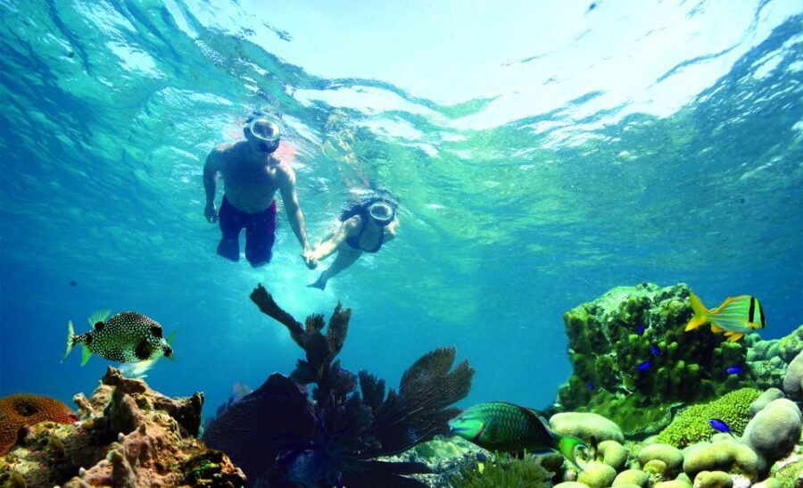 Key West: Reef Snorkeling with Drinks and Sunset Option - Morning vs Afternoon vs Rum and Reggae Sunset