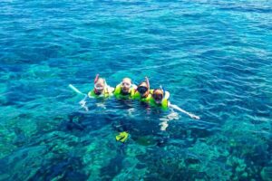 Key West Sailing & Snorkeling: A Reef Adventure - The Florida Keys reef: what you can realistically expect to see