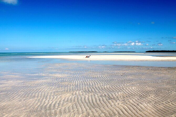 Key west sandbar/eco trip ran by husband and wife naturalist team - Why This Key West Sandbar Trip Feels Different From Standard Boat Tours
