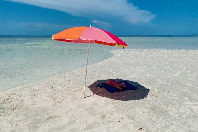Key west sandbar/eco trip ran by husband and wife naturalist team - Snorkeling Patch Reefs: What You Can Expect to See