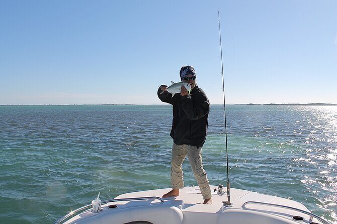 Key west sandbar/eco trip ran by husband and wife naturalist team - Wildlife Moments: Dolphins, Turtles, Stingrays, and More
