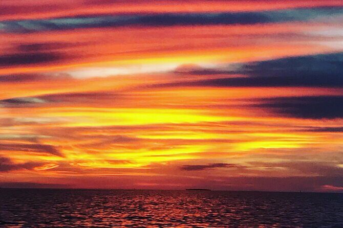 Key west sandbar/eco trip ran by husband and wife naturalist team - The Slow Mangrove Cruise Back That You Might Appreciate More Than You Think