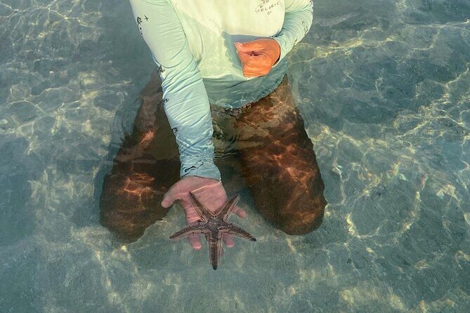 Key west sandbar/eco trip ran by husband and wife naturalist team - Price and Value: Is $220 Fair for a 4-Hour Private Charter?