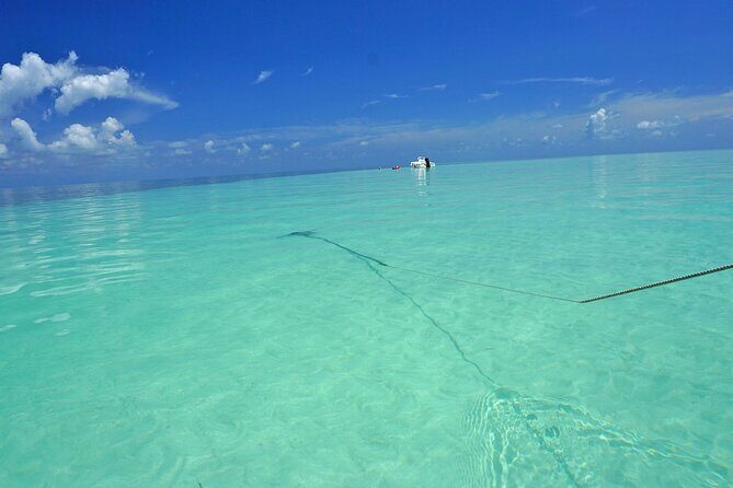 Key West Sandbar Excursion & Island Adventure Cruise - What’s included—and what you should pack so you’re not scrambling