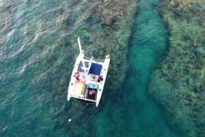 Key West: Sunset Sail + Reef Snorkel & Sandbar - The 42-Foot Sailing Catamaran: Space, Shade, and a Not-Packed Feel