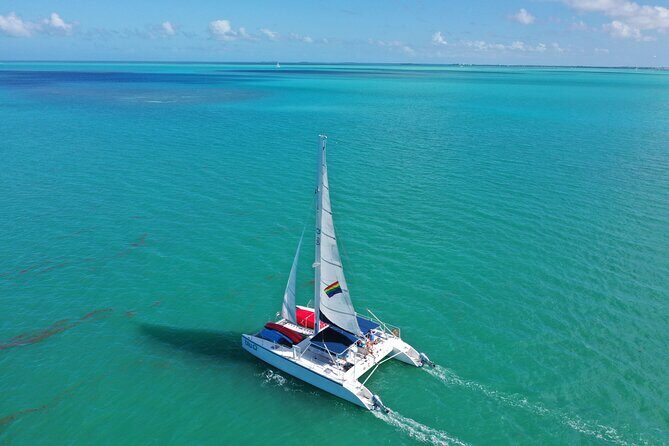 Key West: Sunset Sail + Reef Snorkel & Sandbar - Guides and the Environment: What You’ll Notice in the Crew’s Tone