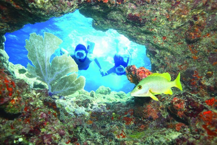 Key West: The Ultimate Do It All Watersports Experience - Banana Boat Fun: Waves, Laughter, and a Group Vibe