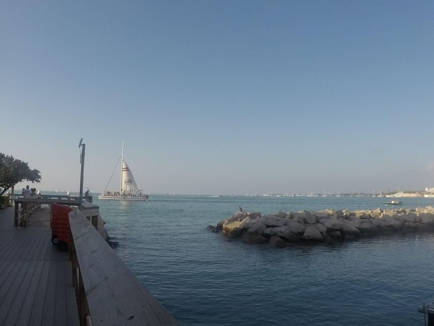 Key West Tour and Coral Reef Snorkeling with Open Bar - Key Points at a Glance