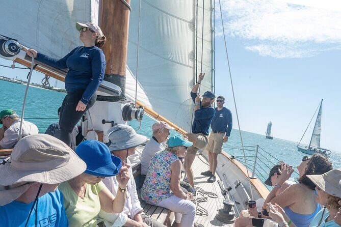 Key West Wreckers Race Aboard Schooner America 2.0 - Wildlife Spotting: Dolphins, Sea Turtles, and Waterbirds