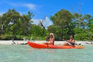 Key West's Island Adventure Sandbar Tour with Kayaking - Picking a Morning or Sunset Cruise (and What Changes)