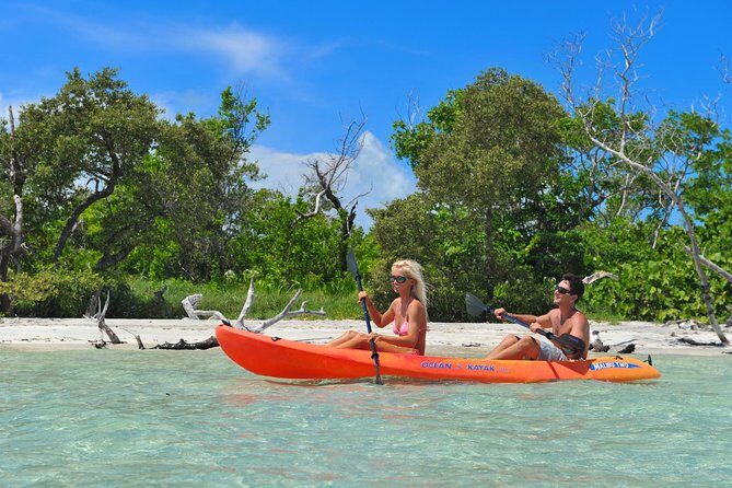 Key West's Island Adventure Sandbar Tour with Kayaking - Picking a Morning or Sunset Cruise (and What Changes)