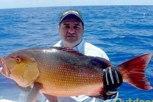 Marathon Reef Fishing Charters - The fish targets: snapper, grouper, and the occasional adrenaline surprise