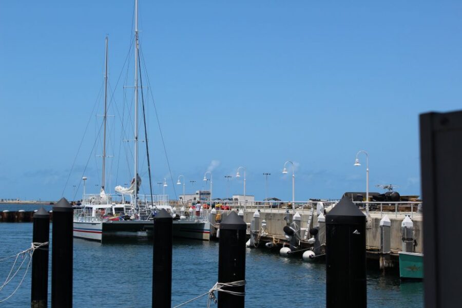 Miami: Key West Boat Tour w/ Optional Snorkeling & Open Bar - Who This Tour Fits Best (and Who Should Think Twice)