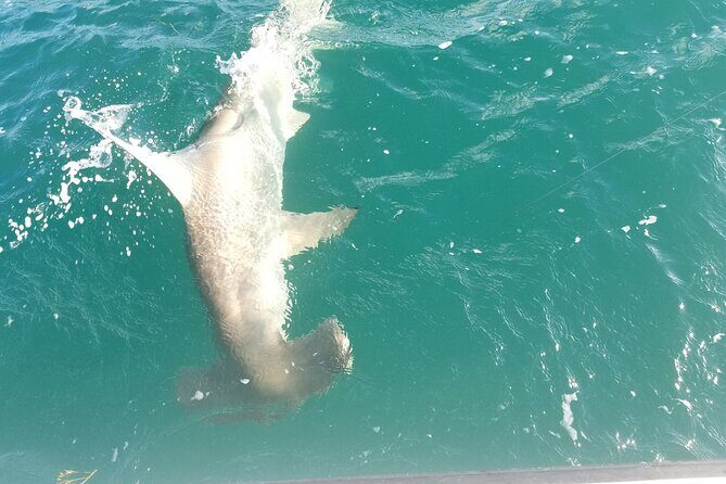 Private Fishing Charter Florida Keys - When Conditions Turn: Why a Captain’s Pivot Can Make or Break the Day