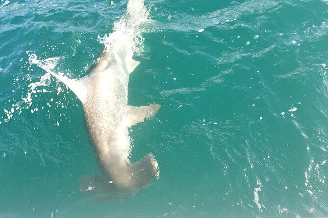 Private Fishing Charter Florida Keys - What’s Not Included (And How to Handle It)