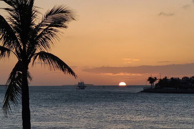 Private Full-Day Tour of Florida Keys from Key Largo to Key West - How the private van tour works from Key Largo to Key West