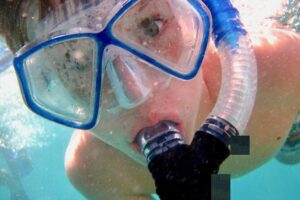 Private Looe Key Snorkel from Big Pine Key - What you’ll spot: barracuda, rays, sharks, and reef fish