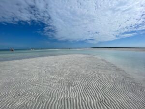 Private Sandbar Adventure in the Key West Backcountry - Sandbars in the Florida Keys: Paddle Boarding, Snorkeling, and Hangout Time