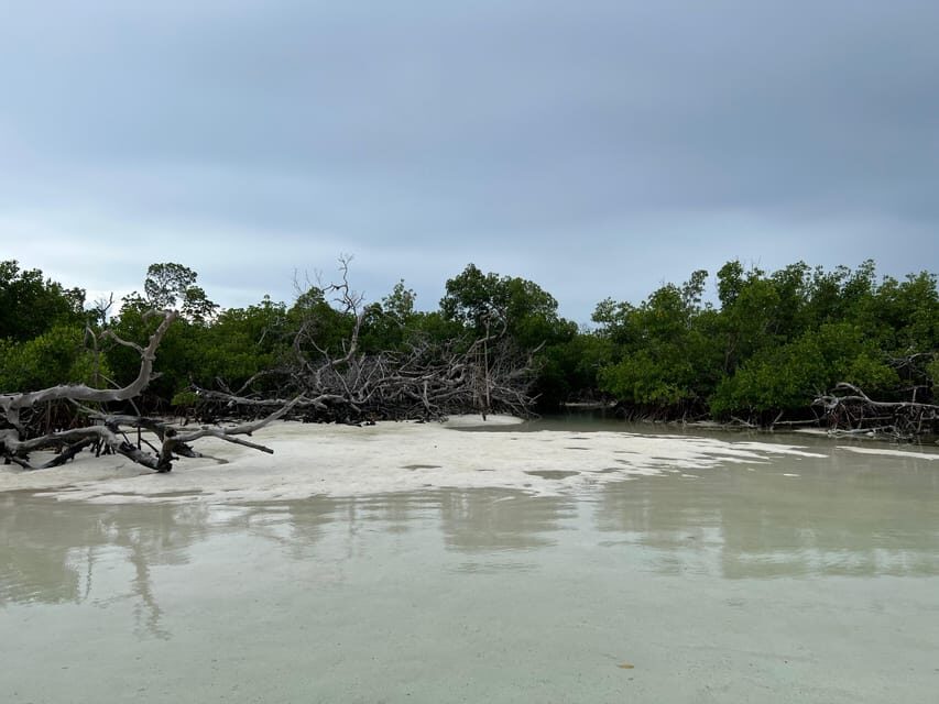Private Sandbar Adventure in the Key West Backcountry - Price and Value for a Private Group (What $700 Really Buys)