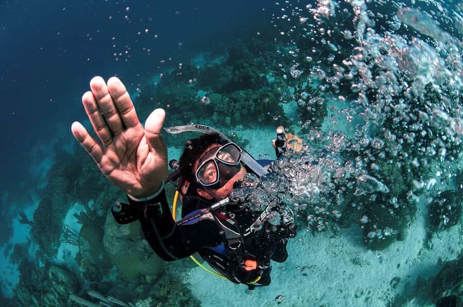 Southpoint Divers: Afternoon Reef Dive Trip - Two reef sessions at 25–35 ft: what you’ll feel underwater