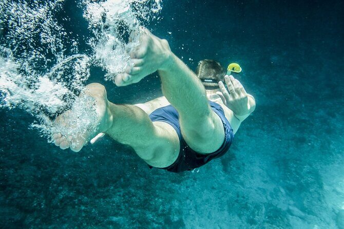 Ultimate Key West Day: Dolphin & Snorkel Combo with Sunset Sail - Drinks and vibe: where the value really shows up